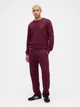 Спортивный костюм мужской утепленный GAP 786567390 M Бордовый (1159847169) - изображение 3