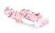Роликовые коньки Tempish WILD BABY SKATE/26-29 (1000000010/26-29) - изображение 20