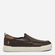 Подростковые слипоны для мальчика Ralph Lauren 291204949 40 (6.5) Коричневые (1159839481) - изображение 1