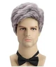Парик мужской короткий пепельный седой, термоволокно DC WIG-M54 - изображение 2