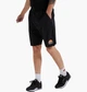 Шорты мужские Ellesse Vivaldi Short M Комбинированный SXG09889-011 - изображение 1