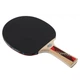 Теннисная ракетка Donic Legends 600 ONE SIZE Комбінований 724416 - изображение 3
