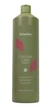 Шампунь для фарбованого волосся Echosline Vegan COLOR CARE, 1000мл - зображення 1
