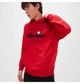 Кофта мужская Ellesse Fentina Open Hem Hoody 2XL Комбінований SHV20204-823 - изображение 2