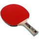 Теннисная ракетка Donic Legends 800 ONE SIZE Комбінований 754425 - изображение 7