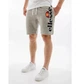 Шорты мужские Ellesse Bossini Fleece Short M Сірий SHS08748-106 - изображение 2