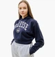 Кофта женские Ellesse Rosarian Cropped Hoody M Комбінований SGV20270-429 - изображение 1