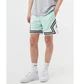 Шорты мужские Jordan Sport Dri-Fit S Комбінований DH9075-379 - изображение 3