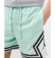 Шорты мужские Jordan Sport Dri-Fit S Комбінований DH9075-379 - изображение 4