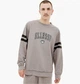 Кофта мужская Ellesse Vivar Sweatshirt L Комбінований SHV20028-112 - изображение 1