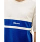 Футболка мужская Ellesse Rocazzi T-Shirt M Комбінований SHV20206-631 - изображение 4