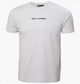 Футболка мужская Helly Hansen Core Graphic Tee XL Сірий 53936-823 - изображение 1