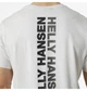Футболка мужская Helly Hansen Core Graphic Tee XL Сірий 53936-823 - изображение 5