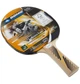Теннисная ракетка Donic Legends 300 Fsc ONE SIZE Комбінований 705234 - изображение 2
