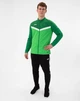 Олимпийка (мастерка) Iconic JAKO 9324 L Зелёный (4067633111950) - изображение 9
