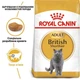 Сухой корм Royal Canin British Shorthair Adult для взрослых кошек породы британская короткошерстная 0,4 кг - изображение 3