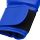 Боксерские перчатки с лицензией IBA | синие | ADIDAS ADIIBAG1C 10 OZ - изображение 5