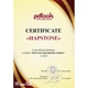 Алмазный камень PDT (Poltava) Premium Silver на керамо-металлической связке 1100 grit (20/14 мкм) - изображение 2
