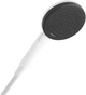 Ручная лейка для душа Hansgrohe Raindance Alive Select S 125 24500700 - изображение 1