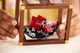 Конструктор LEGO Ideas Коллекция минералов 880 деталей (21362) - изображение 11
