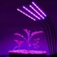 Светодиодная Фитолампа GrowLight для Выращивания Комнатных на 4 ветки Растение Full Spectrum (OJ146IU) - изображение 6