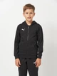 Детская толстовка с капюшоном для мальчика Puma teamGOAL 65859603 134-140 см Puma Black-Puma White (4099685476701) - изображение 1