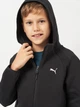 Детская толстовка с капюшоном для мальчика Puma Evostripe 68886301 134-140 см Puma Black (4069157437035) - изображение 4