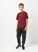 Детская футболка для мальчика Puma ESS LOGO LAB Relaxed 68898496 122-128 см Ruby Shimmer (4069157679640) - изображение 3