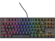 Клавіатура Genesis Thor 303 TKL RGB Outemu Peach Silent Black (NKG-1881) - изображение 1