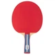 Ракетка для настольного тенниса Gewo Standard Pro FL (600300001) - изображение 1