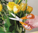 Ножиці садові Fiskars Classic 18 см (1000555) (6411501110305) - зображення 2