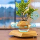 Левитирующий цветочный вазон levitera LEPLANT с норвежским мхом, летающий горшок, кашпо. Цвет дерево. - изображение 5