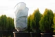 Чехол для укрытия растений Gardenlife КУПОЛ 140×100 с фиксатором - изображение 7