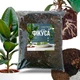 Субстрат крафтовий для фікуса 3л (Ficus) - зображення 1