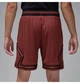Шорты мужские Jordan Mdf Sprt Dmnd Short S Коричневий HF9910-231 - изображение 3