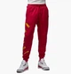 Брюки мужские Jordan M J Flt Mvp Hbr Flc L Комбінований FB7027-619 - изображение 1