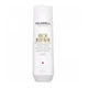 Шампунь для сухих и поврежденных волос Goldwell DSN Rich Repair 250 мл (4021609028499) - изображение 1