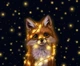 Килимок для мишки Fox And Christmas Lights розмір: 180x220 - изображение 1