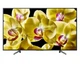 Телевізор Sony KD43XG8096BR - зображення 1