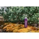 Термос Tramp Expedition Line 0.9 л Purple (UTRC-027-purple) - изображение 4