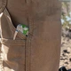 Мультитул Leatherman Skeletool Moss Green - зображення 9