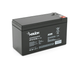 Аккумулятор AGM 12V 7.2Ah MERLION GP1272F2B (15305) - изображение 1