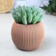 Горшок-шар для кактуса 0,35 л Персик CORAL KRS-362 - изображение 6