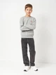 Подростковый теплый свитшот для мальчика Levi`s 9EE331-C87 134-140 см Серый (3666643200107) - изображение 3