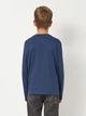 Подростковый лонгслив для мальчика Levi`s 9EC706-UF3 146-152 см Нави (3666643204204) - изображение 2