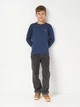 Подростковый лонгслив для мальчика Levi`s 9EC706-UF3 146-152 см Нави (3666643204204) - изображение 3