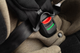 Fotelik samochodowy Caretero Turox I-Size Isofix od 40 do 150 cm Khaki TERO-1983 (5908310396880) - obraz 12