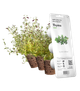 Змінний картридж Click&Grow Чебрець 3 шт (7373) - зображення 1