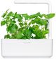 Змінний картридж Click&Grow Котяча м'ята 3 капсули (4742793007465-7465) - зображення 4