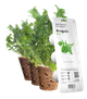Змінний картридж Click&Grow Рукола 3 шт (8769) - зображення 1